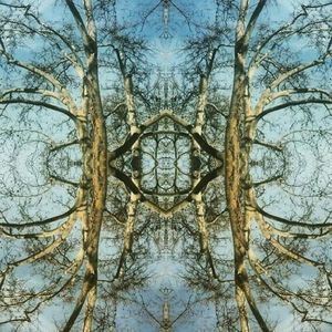 Meet your Posher, Allainah